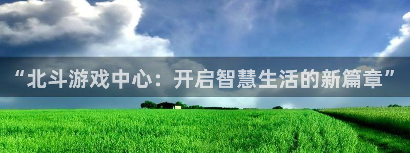 广东pp电子营销策划有限公司