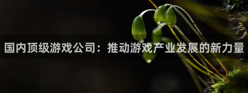 pp电子官网登录注册：国内顶级游戏公司：推动游戏产业发展的新力量