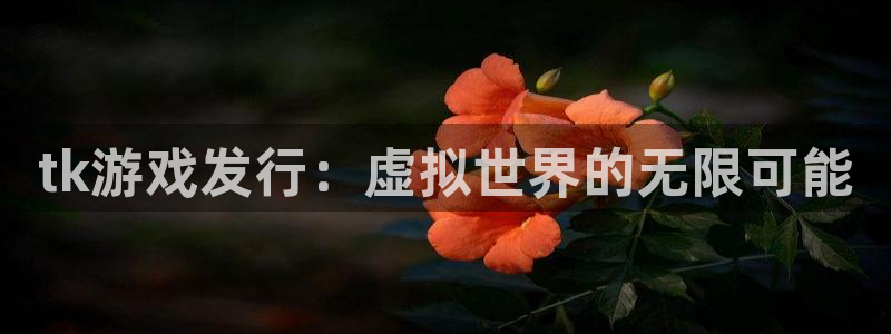 pp电子香烟图片：tk游戏发行：虚拟世界的无限可能