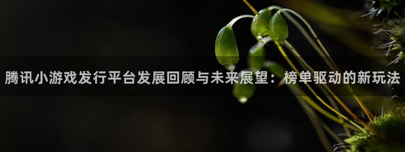 pp电子官网注册地址在哪里查：腾讯小游戏发行平台发展回顾与未来展望：榜单驱动的新玩法