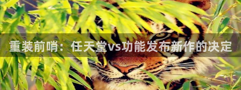pp电子官网平台代理开号是真的吗：重装前哨：任天堂vs功能发布新作的决定