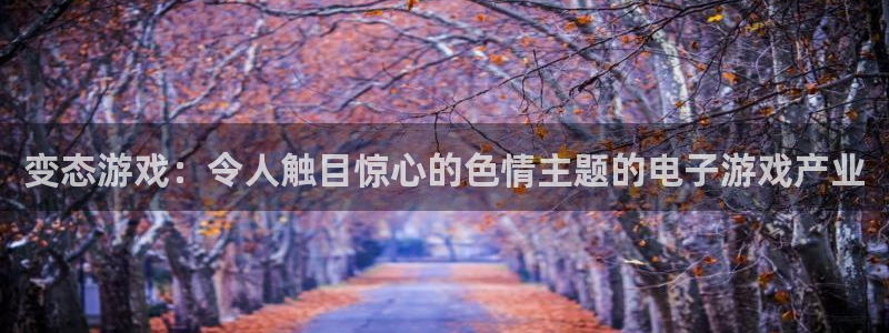 广州pp电子网络科技有限公司