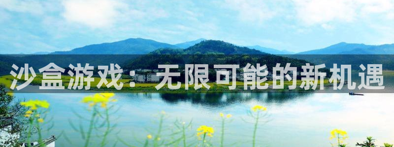 苏州pp电子网络科技有限公司