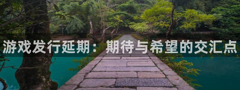 pp电子子文化有什么游戏：游戏发行延期：期待与希望的交汇点