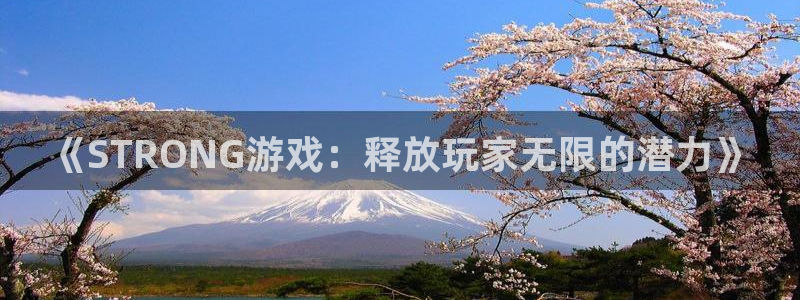 广州pp电子投资：《STRONG游戏：释放玩家无限的潜力》