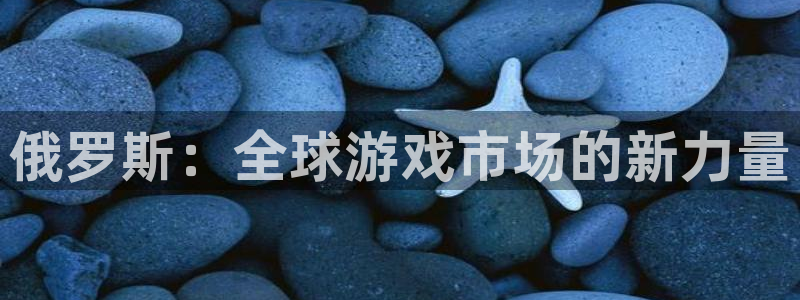 陕西pp电子子文化公司有什么游戏：俄罗斯：全球游戏市场的新力量