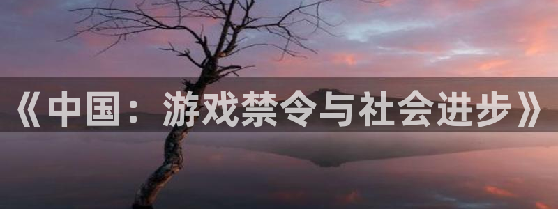 pp电子户外：《中国：游戏禁令与社会进步》