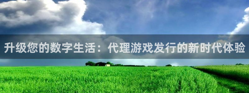 pp电子电子商务有限公司怎么样知乎：升级您的数字生活：代理游戏发行的新时代体验