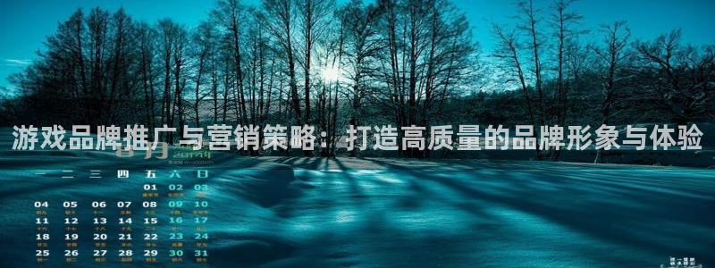 pp电子价格：游戏品牌推广与营销策略：打造高质量的品牌形象与体验