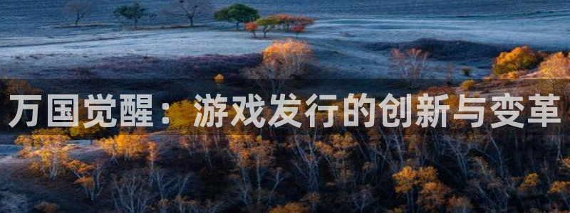 pp电子子酒业：万国觉醒：游戏发行的创新与变革