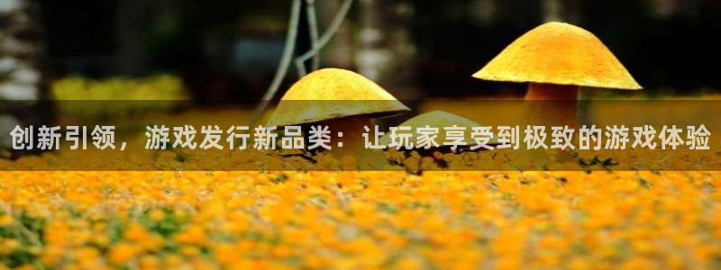pp电子官网的钱能提出来吗