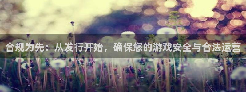 陕西pp电子子文化创意有限公司1：合规为先：从发行开始，确保您的游戏安全与合法运营