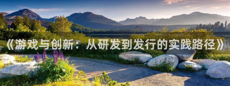 pp电子官网平台注册账号注意事项：《游戏与创新：从研发到发行的实践路径》