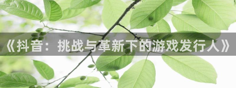 pp电子官网登录注册：《抖音：挑战与革新下的游戏发行人》